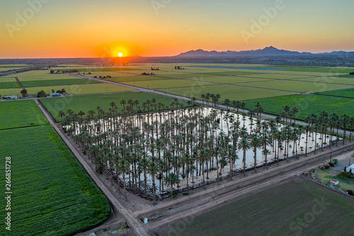 Yuma Irrigated Farmland