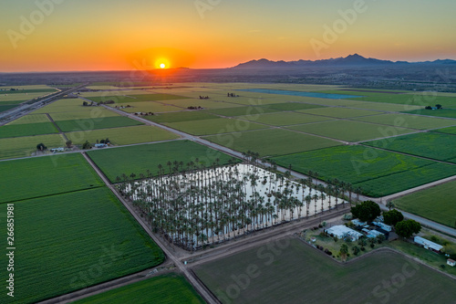 Yuma Irrigated Farmland