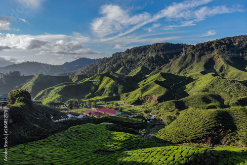 Photos The general view of Cameron Valley tea plantations in Tanah Rata, Cameron Highlands