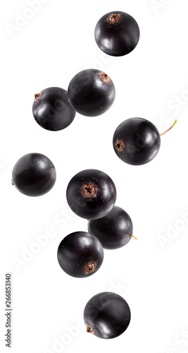 Falling black currant isolated on white. photo
