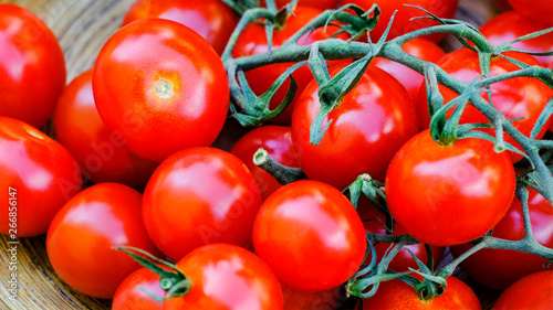 Trusses of tomatoes macro view. Fresh antioxidant rich cherry tomatoes bunch. Trinomial name for this vegetable is Solanum lycopersicum