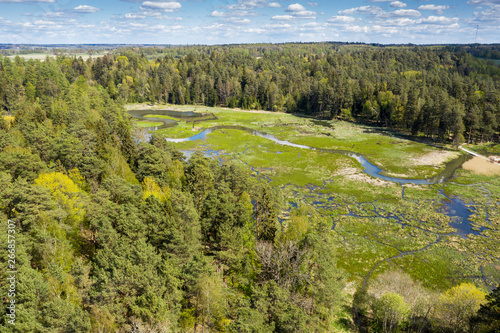 Lake and forest in Kazdanga, Latvia.