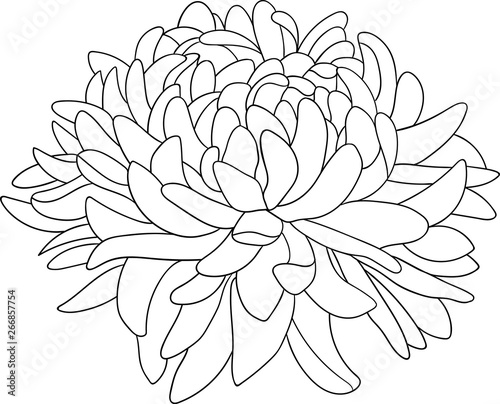 flower coloring page 2