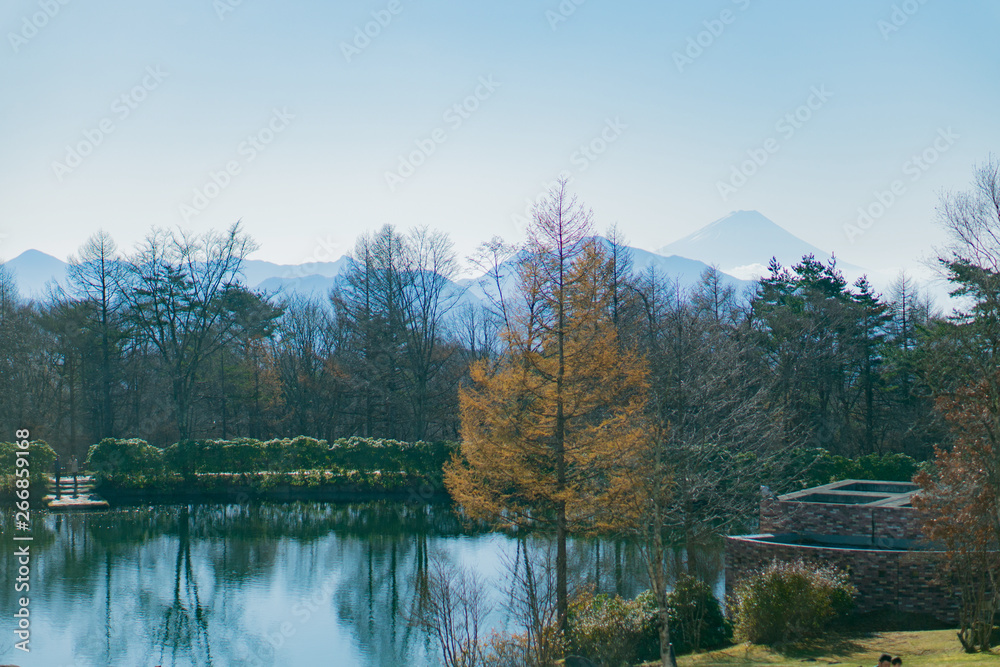 池と富士山