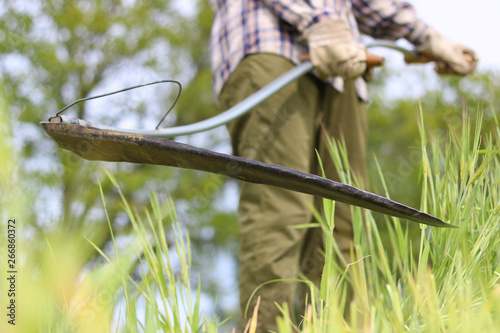 to harvesting a field with old scythe photo