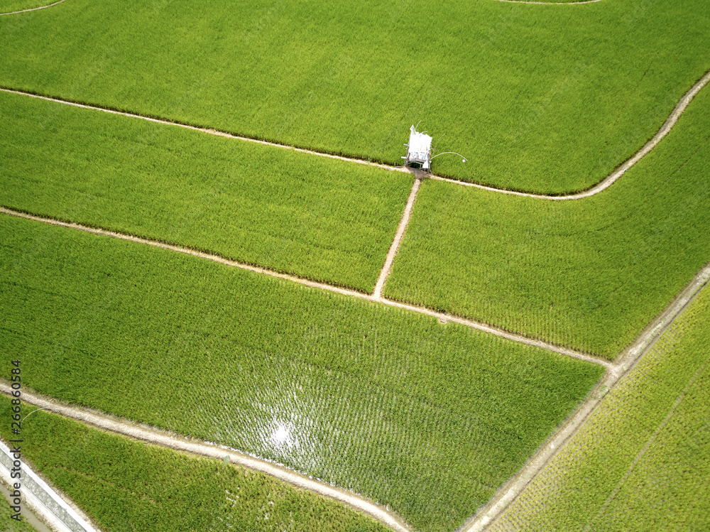 Obraz premium Rice Terrace Aerial Shot. Image of beautiful terrace rice field in Indonesia