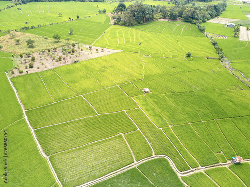 Rice Terrace Aerial Shot. Image of beautiful terrace rice field in Indonesia