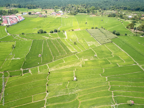 Rice Terrace Aerial Shot. Image of beautiful terrace rice field in Indonesia