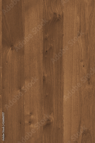 acacia wooden timber tree surface wallpaper structure texture background high size