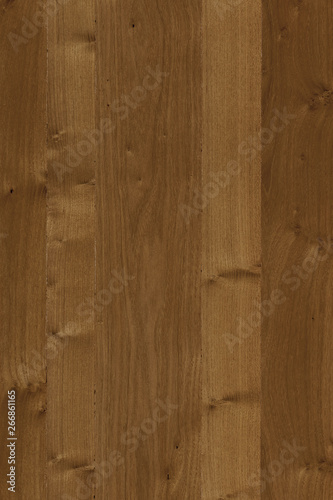 acacia wooden timber tree surface wallpaper structure texture background high size