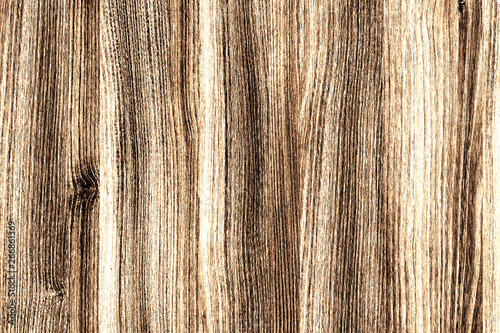 acacia timber tree wooden surface wallpaper structure texture background