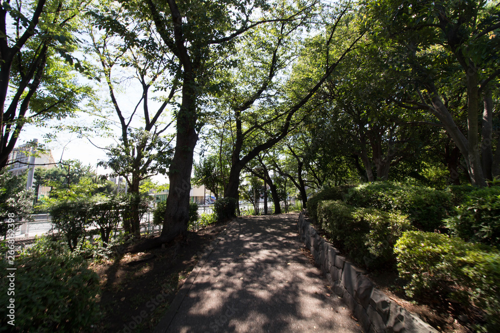 東京の下町にあるどこか風情のある公園 東京の下町にあるどこか風情のある公園