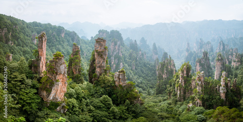 Panoramic landscape in Zhangjiajie National Forest Park in Hunan Province, China photo