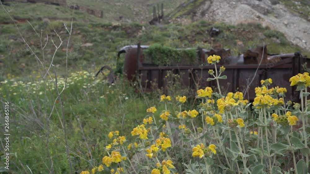 Abandoned, old and rusty trucks with flowers and plants growing out of them, Abandoned, old and rusty trucks with flowers and plants growing out of them,