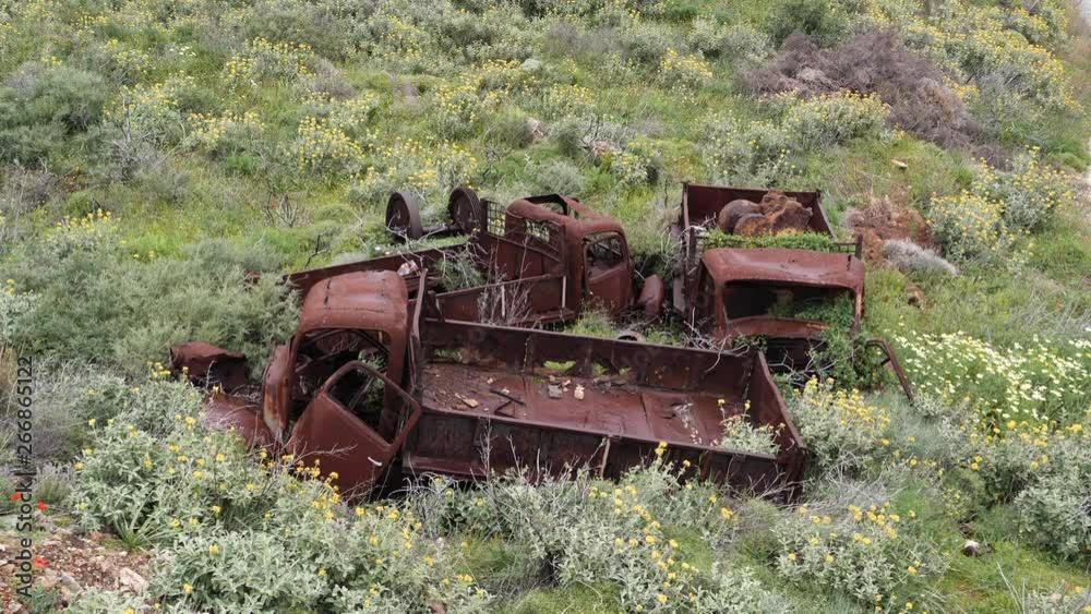 Abandoned, old and rusty trucks with flowers and plants growing out of them, on the side of the road Abandoned, old and rusty trucks with flowers and plants growing out of them, on the side of the road