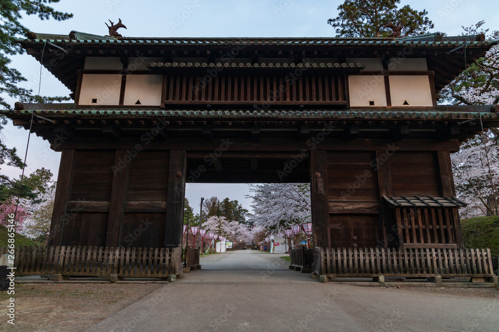 Cherry blossoms in Aomori Hirosaki castle ruins