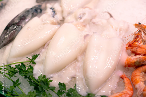 Big fresh raw white squid on the ice surrounded by other seafood