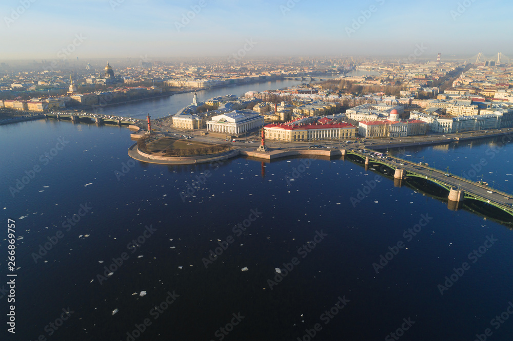 Panorama of the Spit of Vasilievsky Island on a sunny April morning (aerial photography). Saint-Petersburg, Russia
