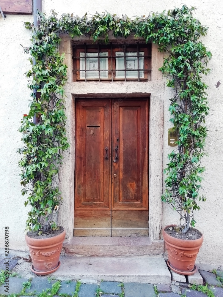 door, decoreted with arch of plants door, decoreted with arch of plants