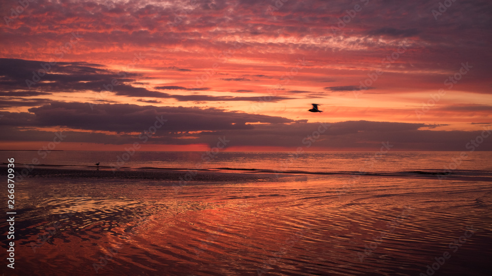 Dramatic colours over Baltic sea beach just after sunset with calm sea and seagulls flying by Dramatic colours over Baltic sea beach just after sunset with calm sea and seagulls flying by
