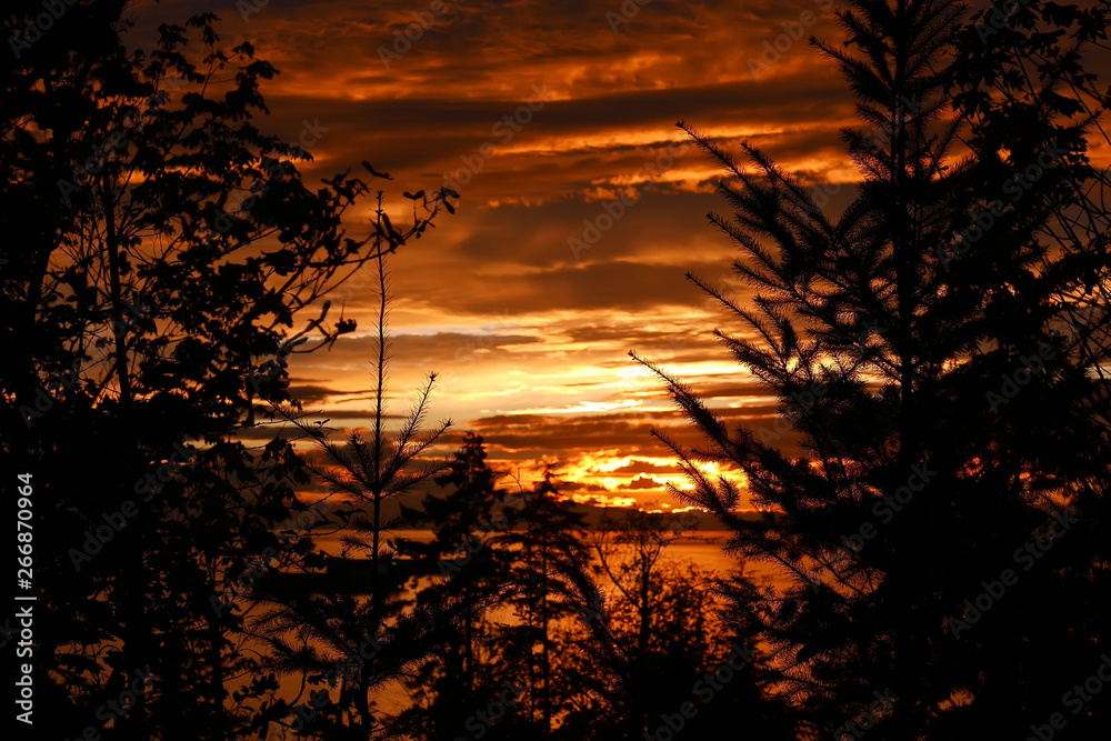 Fototapeta premium Beautiful sunset view at Stanley Park in Vancouver BC Canada.