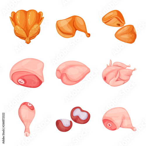 Vector illustration of meat and raw icon. Set of meat and grilled stock symbol for web.