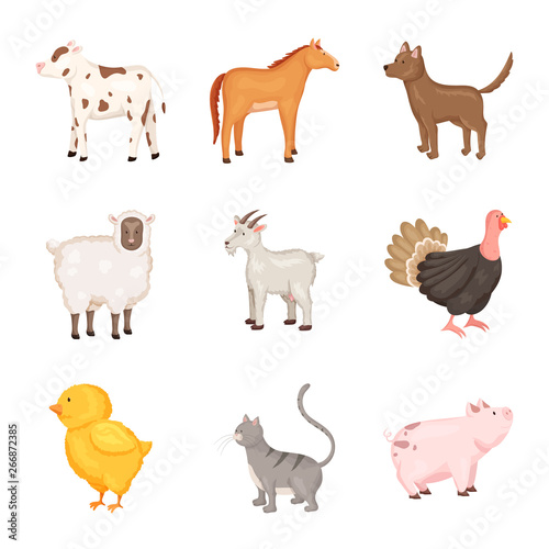 Isolated object of farm and food symbol. Collection of farm and countryside stock vector illustration. © pandavector