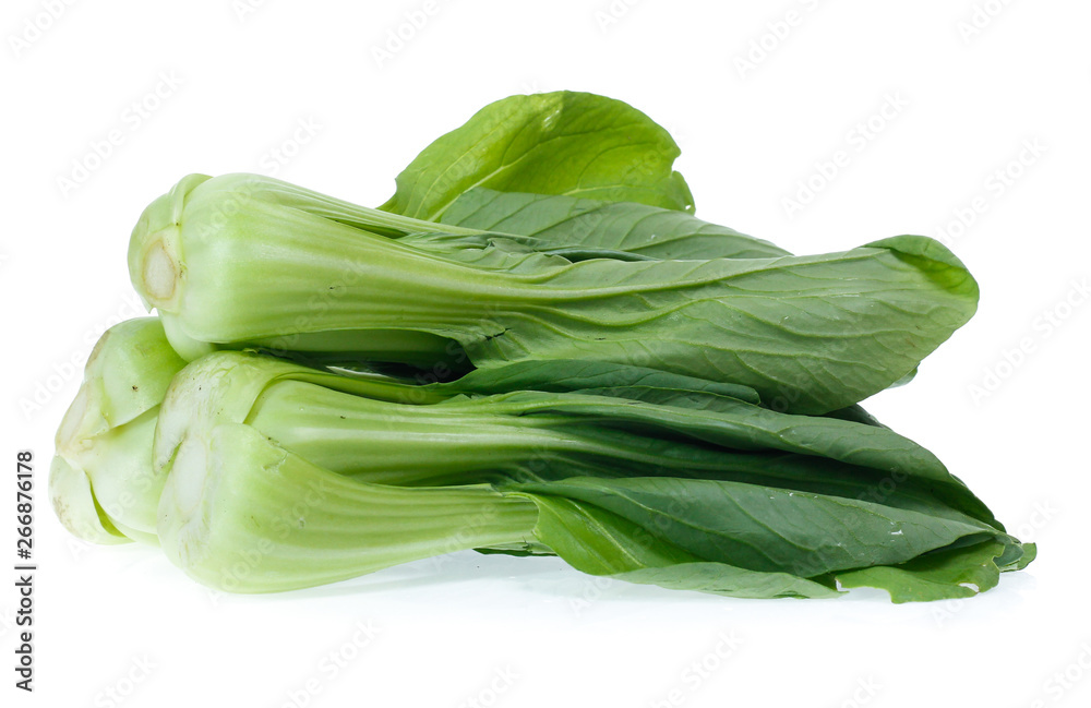 Chinese Vegetable cabbage on white background Chinese Vegetable cabbage on white background