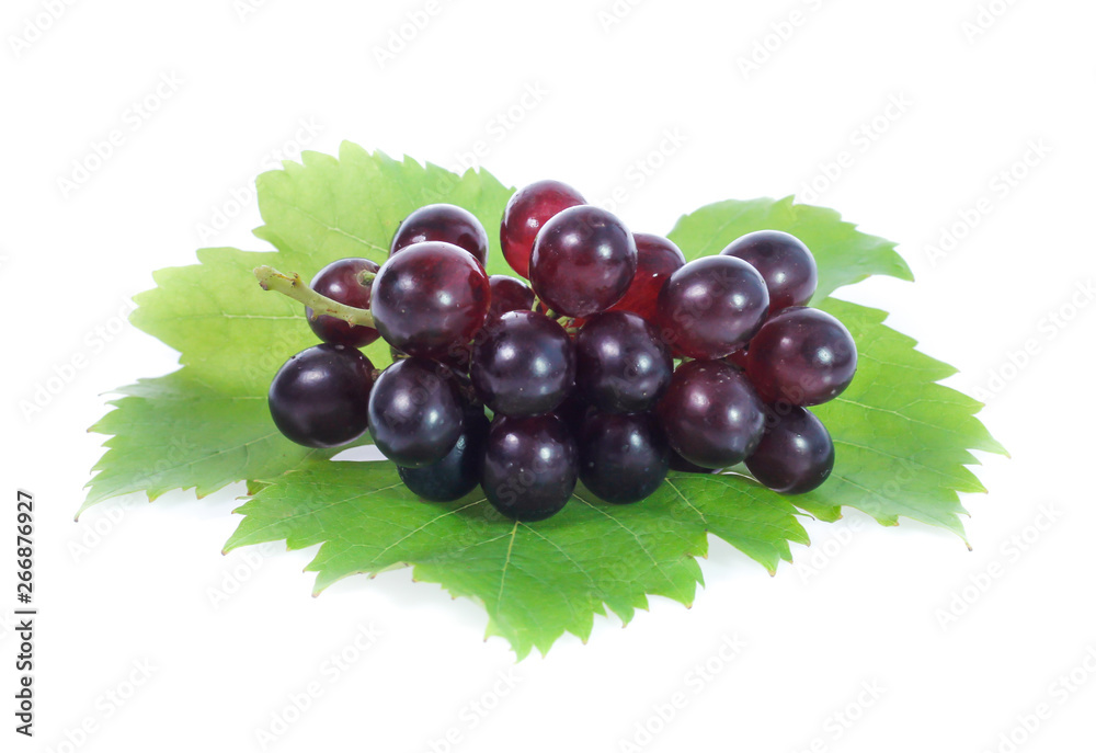 red grapes isolated on white red grapes isolated on white