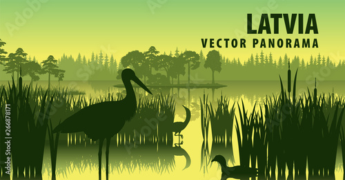 Stampa su tela vector panorama of Latvia with black stork