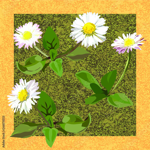 Daisies - white flowers with yellow centers and green leaves. Postcard, an element of decor. Background - military, green and brown. Extra yellow frame.