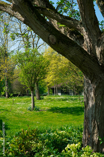 public park, arboretum Munnike Park in Zwijndrecht, The Netherlands