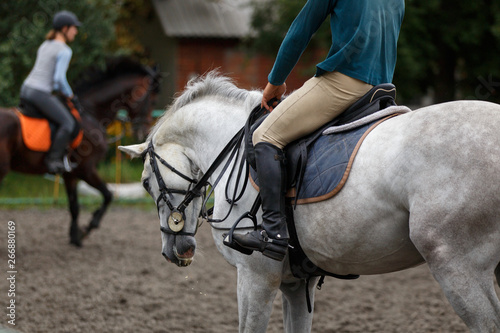Young man riding white horse on equestrian sport training