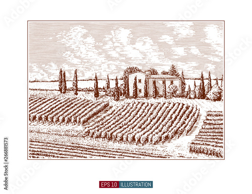 Hand drawn landscape. Antique house, garden, vineyard. Abstract nature background. Template for your design works. Engraved style vector illustration.