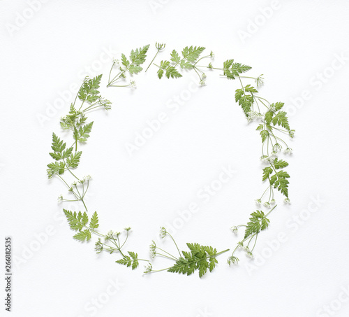 Round frame with light green young leaves on textural white paper. Spring background for design and decoration.