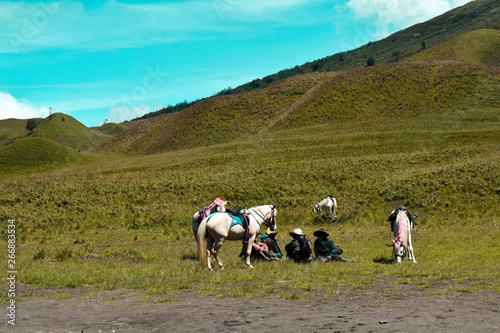 MALANG, EAST JAVA, INDONESIA, MAY 9, 2019 : Unreconized people. Scenic Green grass field view of rolling countryside green farm fields with horse