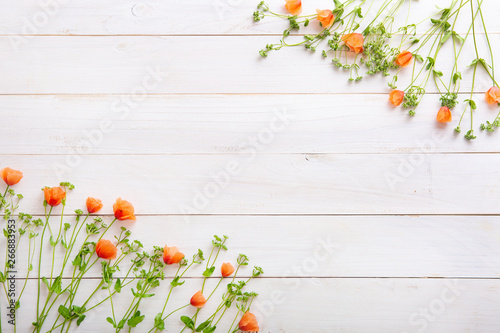 beautiful wild flowers on white wooden background