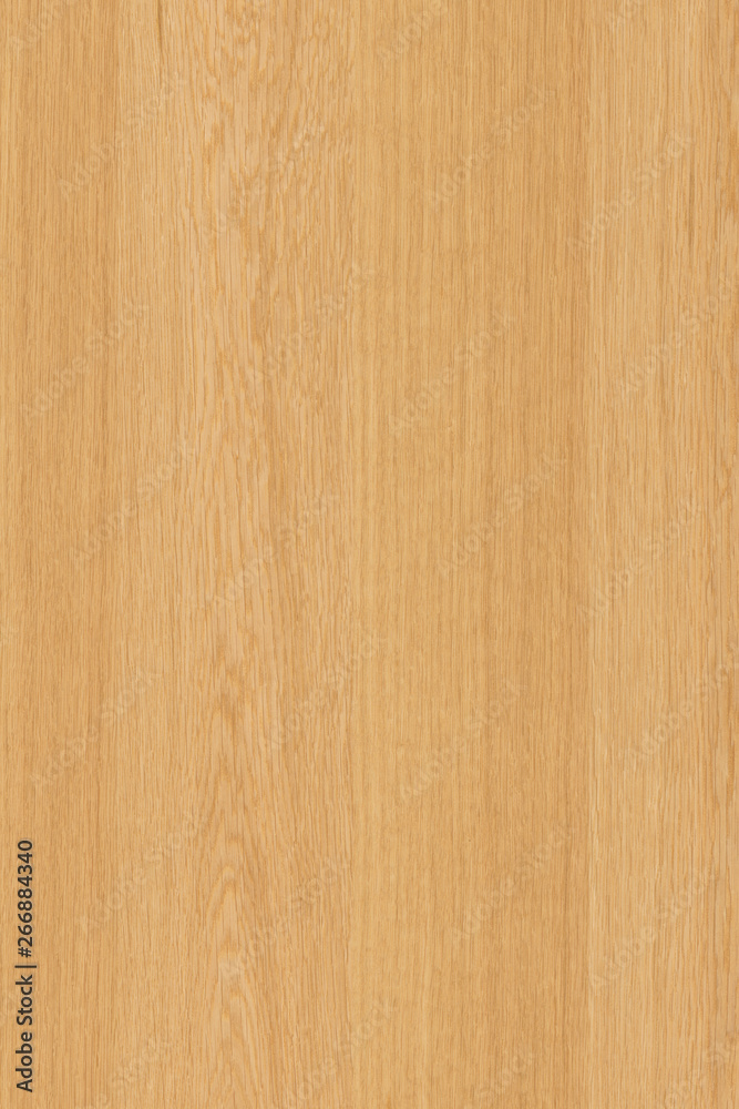 natural light brown oak tree wood surface structure texture background high size natural light brown oak tree wood surface structure texture background high size