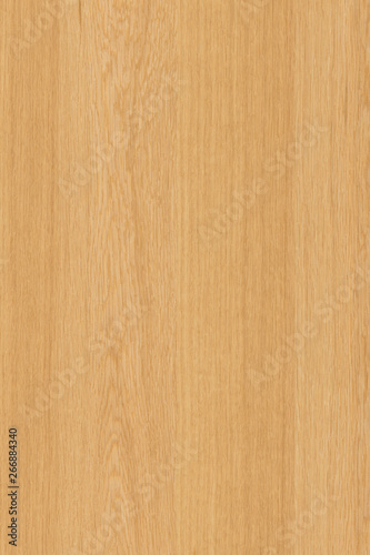 natural light brown oak tree wood surface structure texture background high size