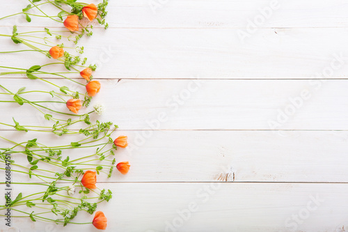 beautiful wild flowers on white wooden background