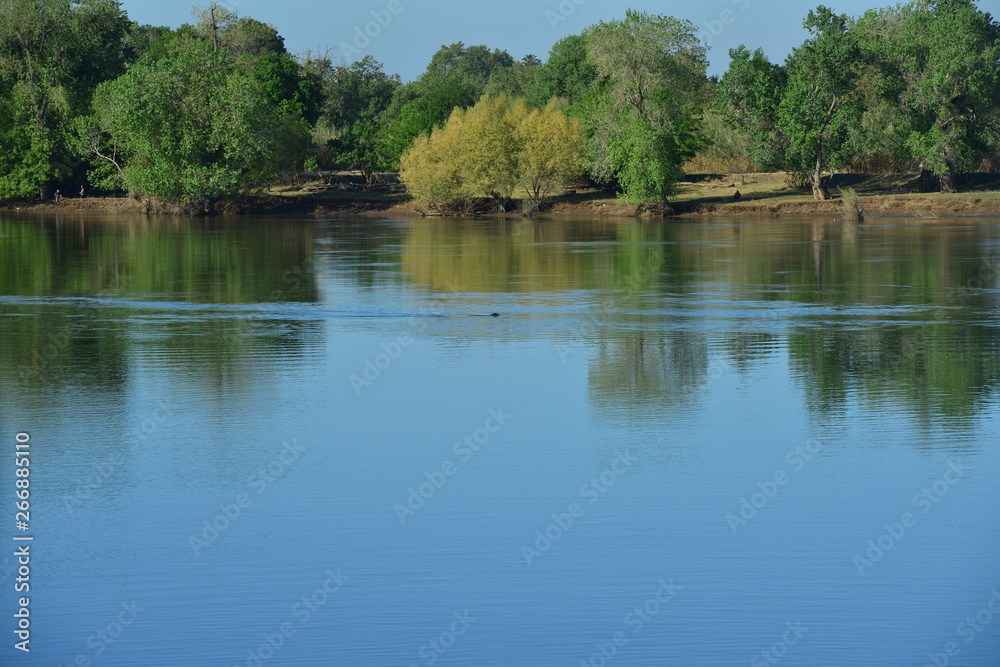 Discovery Park in Sacramento in late spring. Discovery Park in Sacramento in late spring.