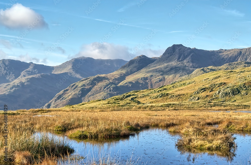 A view of the Langdale Pikes and Bowfell from the slopes of Silver How.