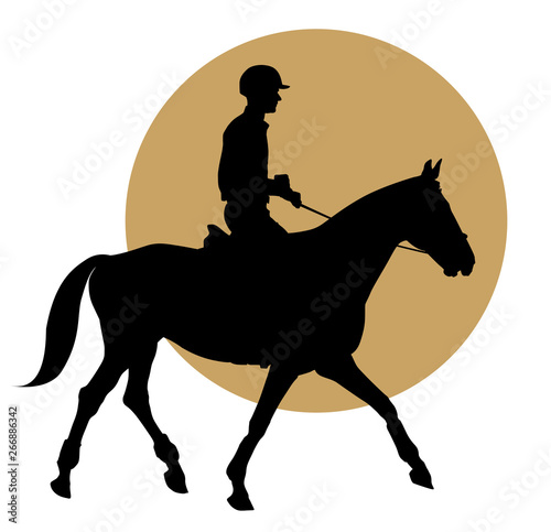 Equestrian sports design