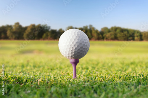 Golf ball on tee