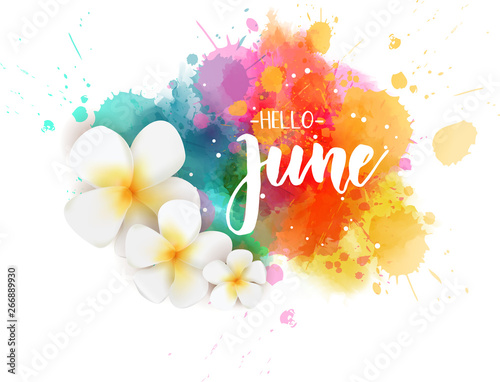 Hello June - floral summer concept background