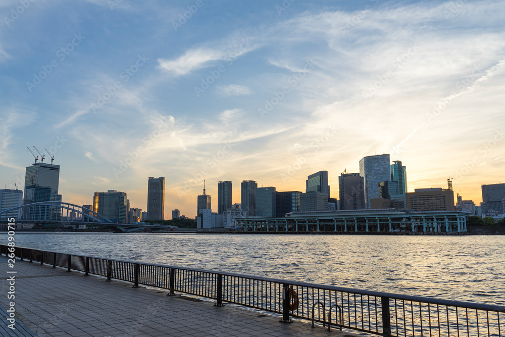 Obraz premium 隅田川 夕景