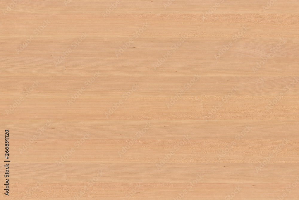 light brown tree wood wallpaper structure texture background pattern light brown tree wood wallpaper structure texture background pattern