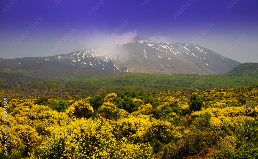 Fototapeta premium mount Etna in Sicily