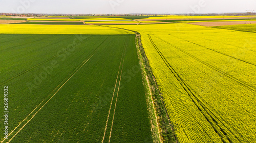 Green and yellow fields at farmland, aerial view