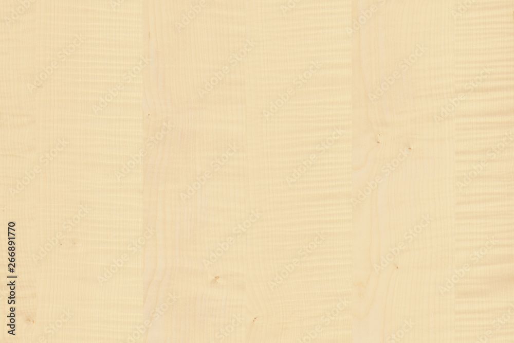 light brown tree wood wallpaper structure texture background pattern light brown tree wood wallpaper structure texture background pattern